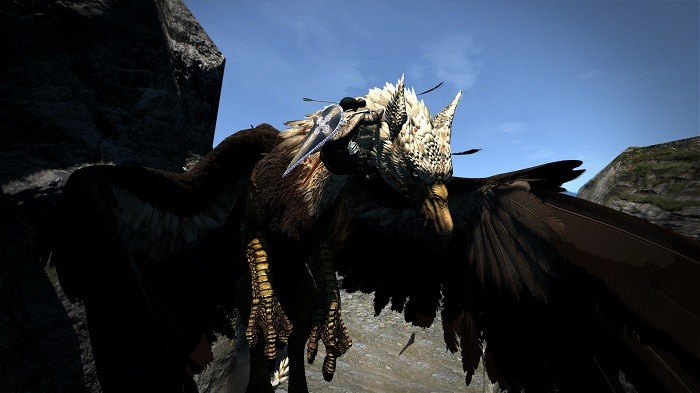 dragons dogma dark arisen 1